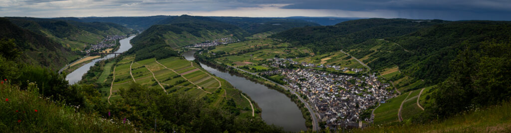 Kleine Wanderung auf dem Bremmer Calmont an der Moselschleife