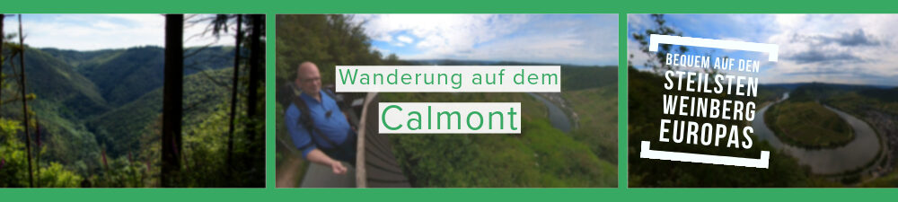 Kleine Wanderung auf dem Bremmer Calmont an der Moselschleife