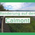 Kleine Wanderung auf dem Bremmer Calmont an der Moselschleife