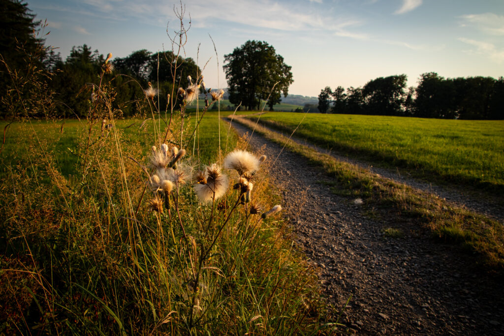 Wandern zwischen Bergischem Land, Sauerland und Rothaargebirge an der Lingese-Talsperre