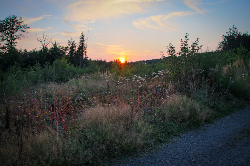 Wandern zwischen Bergischem Land, Sauerland und Rothaargebirge an der Lingese-Talsperre