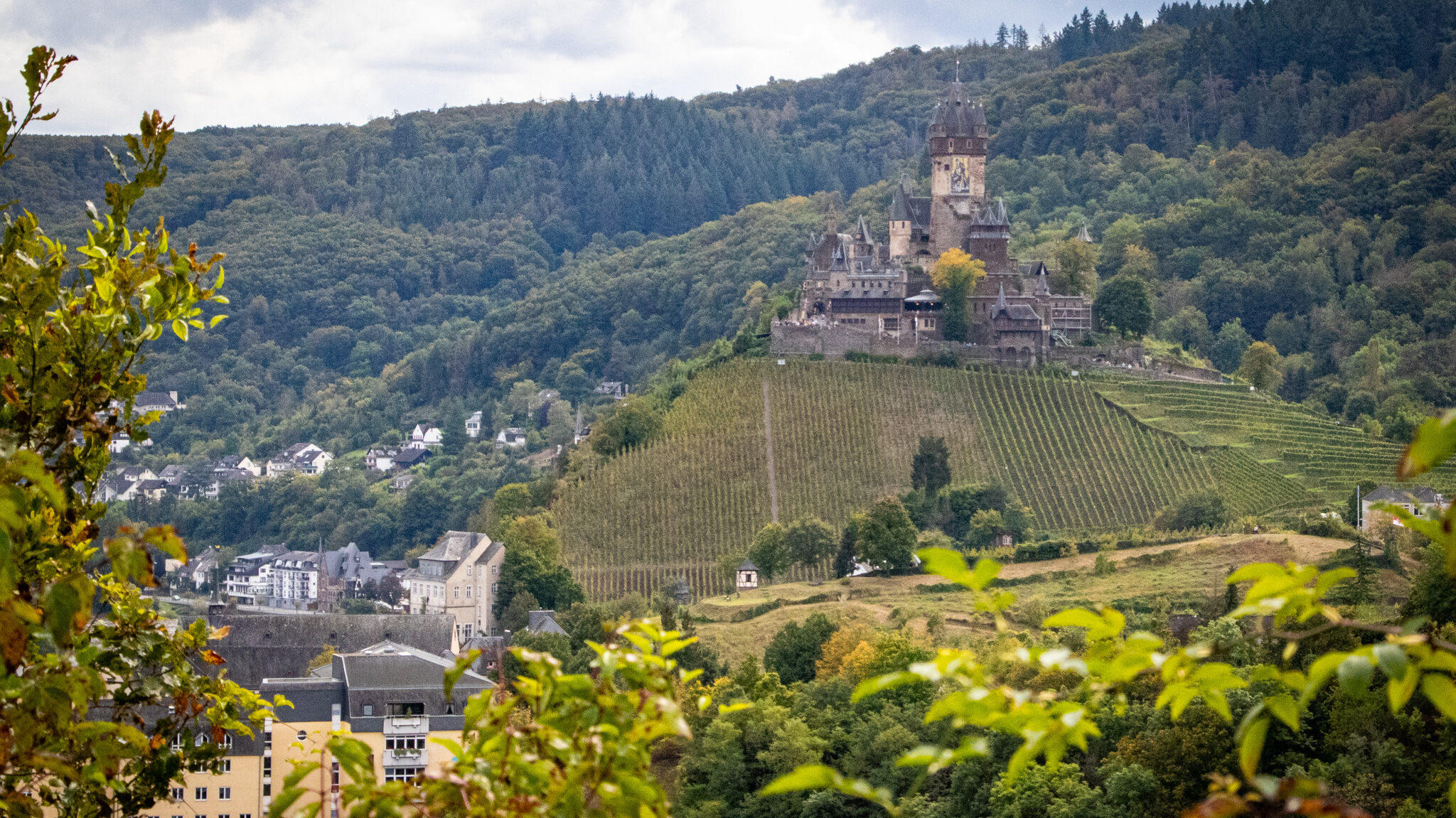 Wandern an der Mosel – Cochemer Ritterrunde