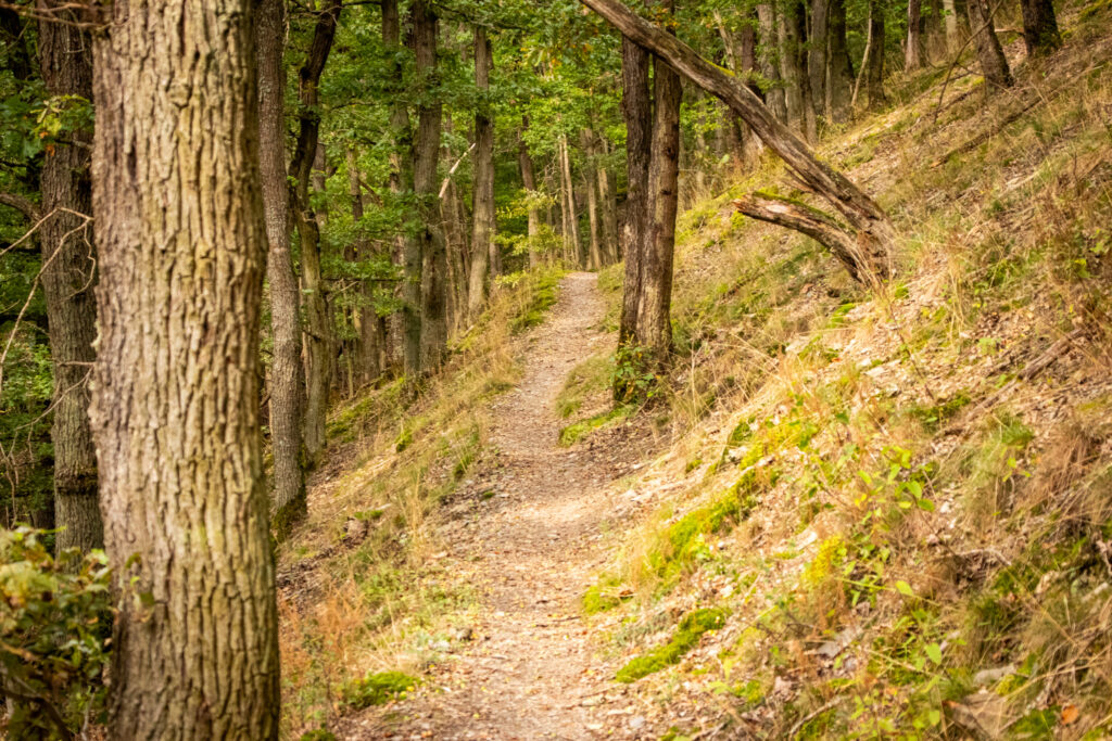 Wandern an der Mosel – Cochemer Ritterrunde