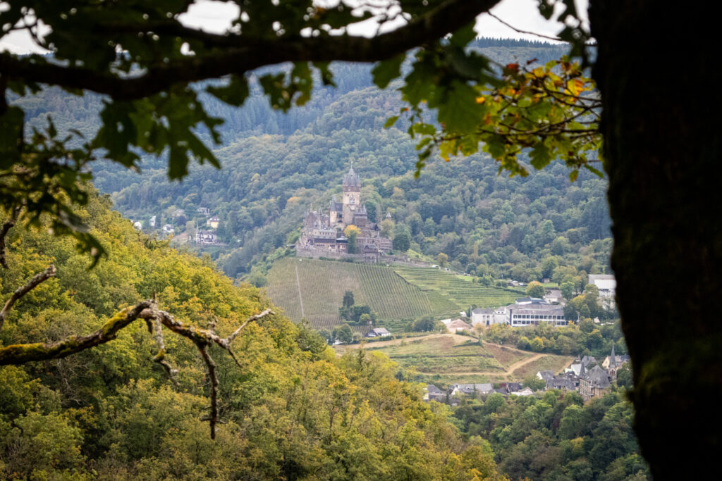 Wandern an der Mosel – Cochemer Ritterrunde