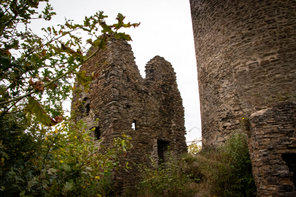 Wandern an der Mosel – Cochemer Ritterrunde