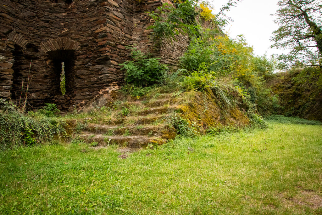 Wandern an der Mosel – Cochemer Ritterrunde