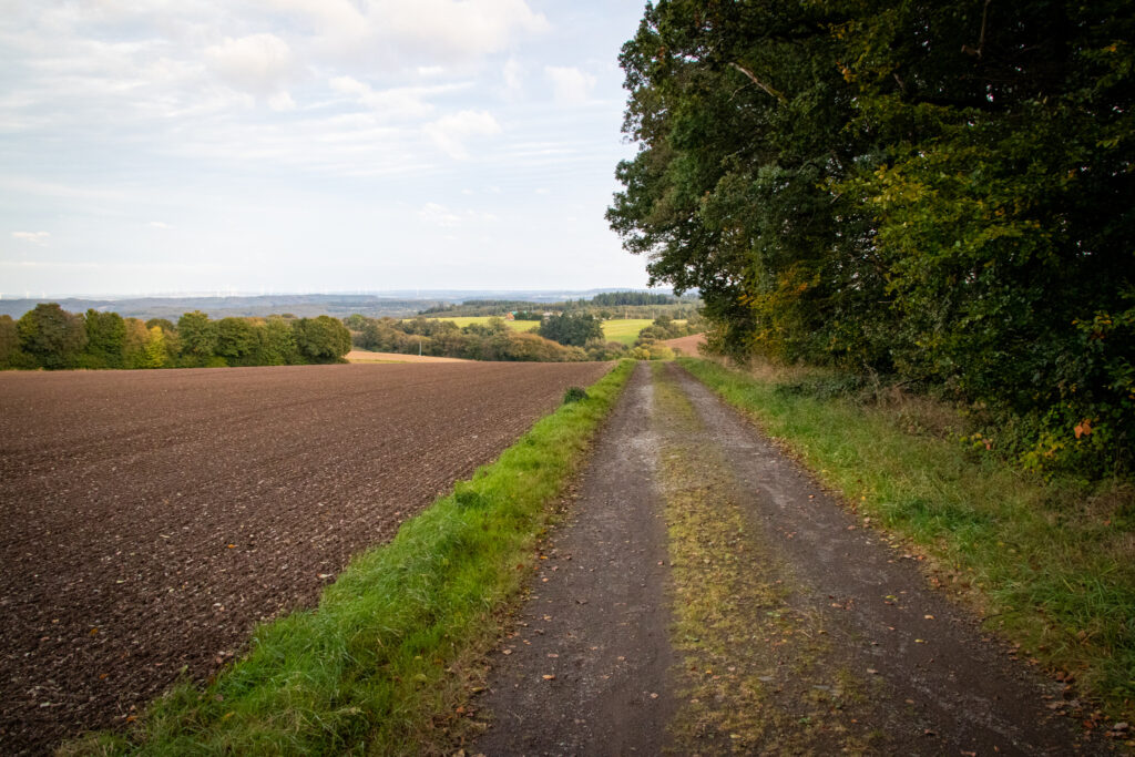 Wandern an der Mosel – Cochemer Ritterrunde