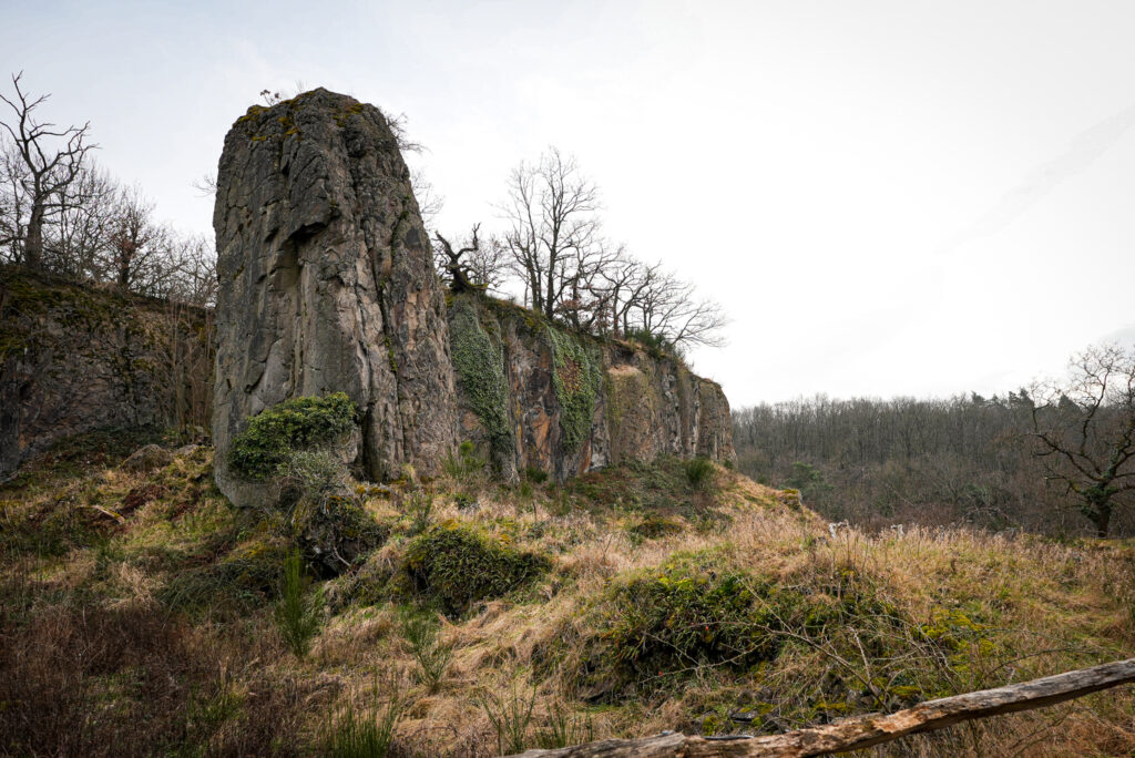 Highlightwanderung im nördlichen Siebengebirge - Stenzelberg